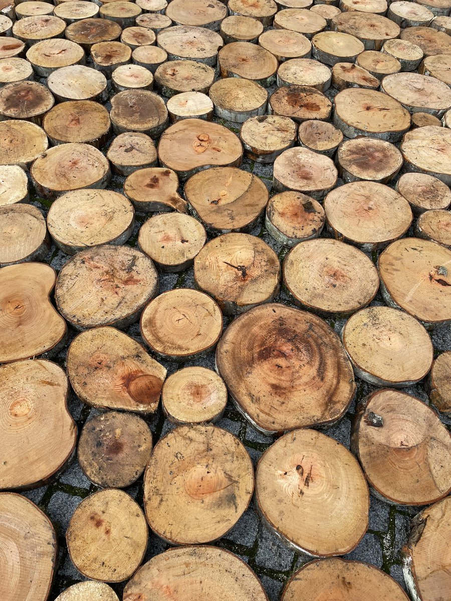 Empezamos! <a href="/encuentros2024/">Encuentros de Pamplona I Iruñeko Topaketak</a>