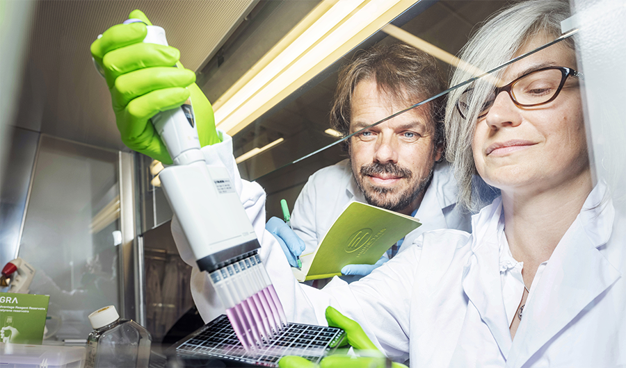 Meer weten over Leids onderzoek naar piepkleine organen? Onze lector Metabolomics van het Leiden Centre for Applied Bioscience, Peter Lindenburg, vertelt er meer over op Publinova ▶ bit.ly/3Y9AXPw