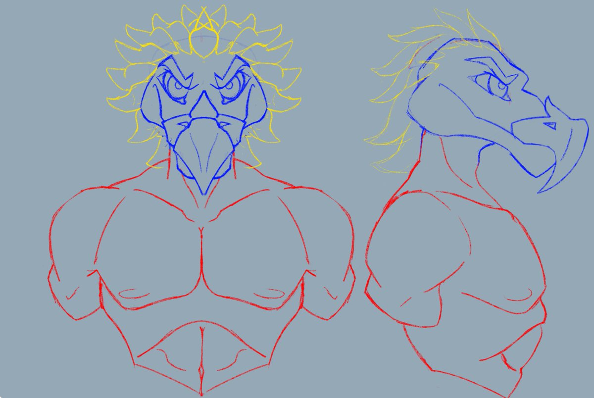 Tibby bird for a project in class I’m doin 🦅