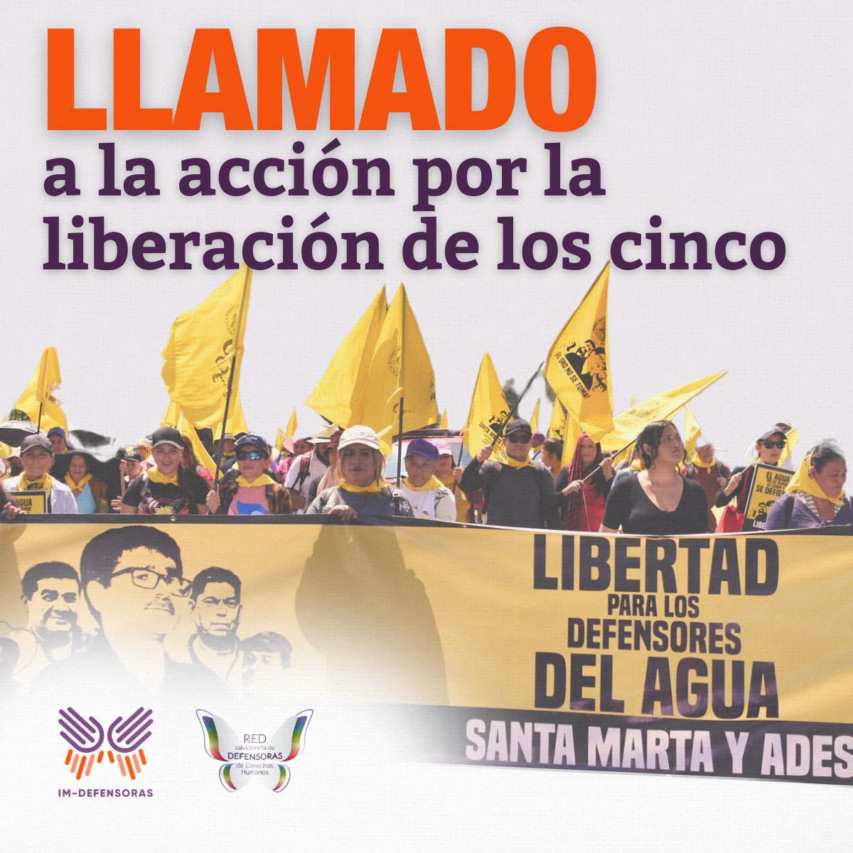 IM-Defensoras tweet media