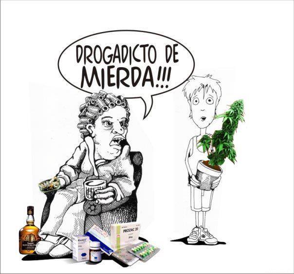 Ku$h Station (@kushstation1) on Twitter photo 