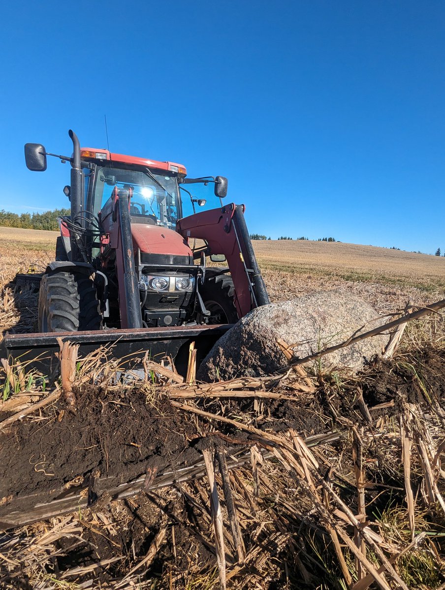 SaskFarmer12's tweet photo. I hear @bigmothufacking woulda lifted this rock with one hand #beeffed https://t.co/Go5Stf1ljK