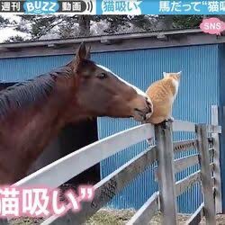 복남 🏝️친모oト D-22 tweet media