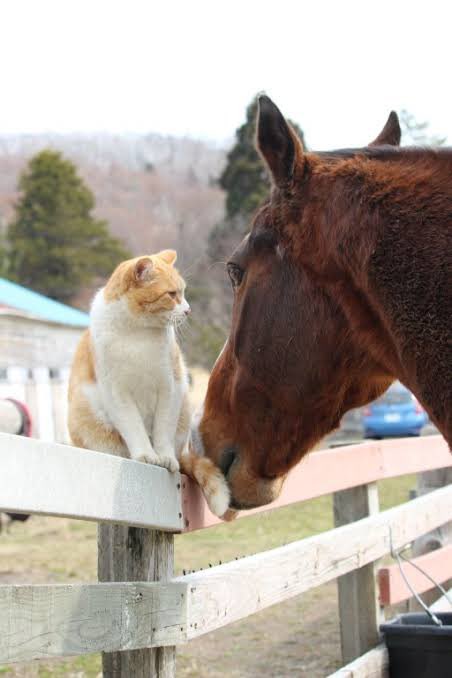 복남 🏝️친모oト D-22 tweet media