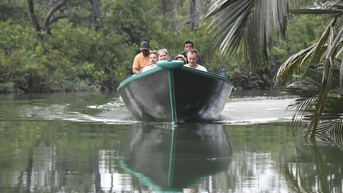 detikTravel's tweet photo. #Foto Menyusuri ekowisata Sungai Hitam Lestari di Samboja, Kalimantan Timur yang menawarkan pemandangan alam yang asri!
>> https://t.co/6agRpyvrUO
Foto: ANTARA FOTO/M Risyal Hidayat
#detikTravel #SungaiHitam #ekowisata #Samboja https://t.co/ud0baIcauc