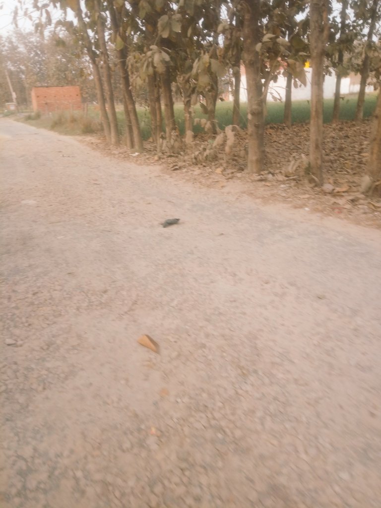 Mankapur_post's tweet photo. @KVSinghMPGonda @RPShashtri @myogiadityanath @CMOfficeUP @dmgonda2 @CdoGonda सड़क की वर्तमान स्थिति बद से बद्तर हो गई है जिससे आये दिन लोग चोटिल भी हो रहें हैं।
(कर्बला मार्ग- मनकापुर बाजार) https://t.co/9eS931HdE8