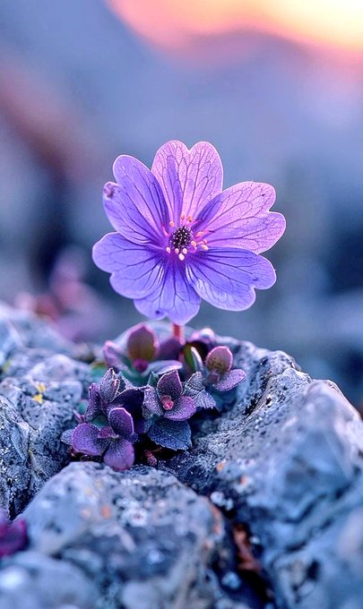 Lexi (@spezialaccount) on Twitter photo 