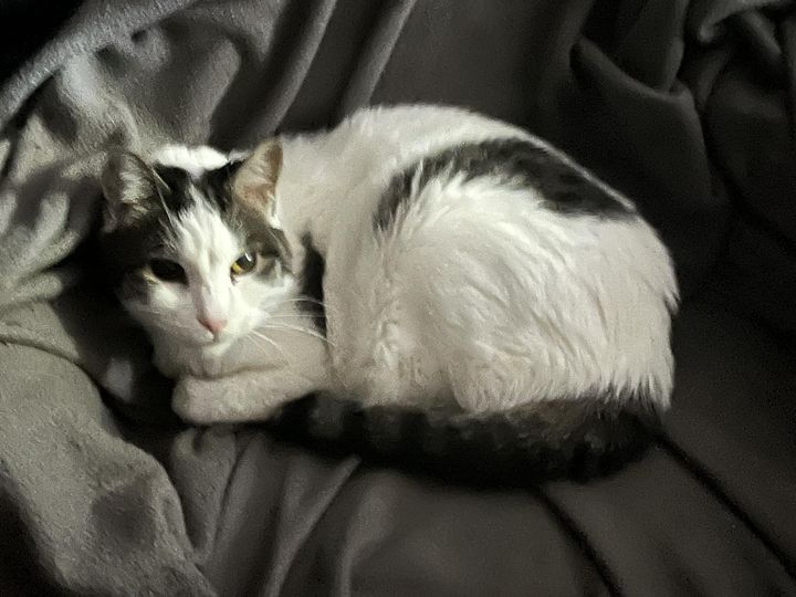 Doug Hill is Leaving for the Sky by December tweet media