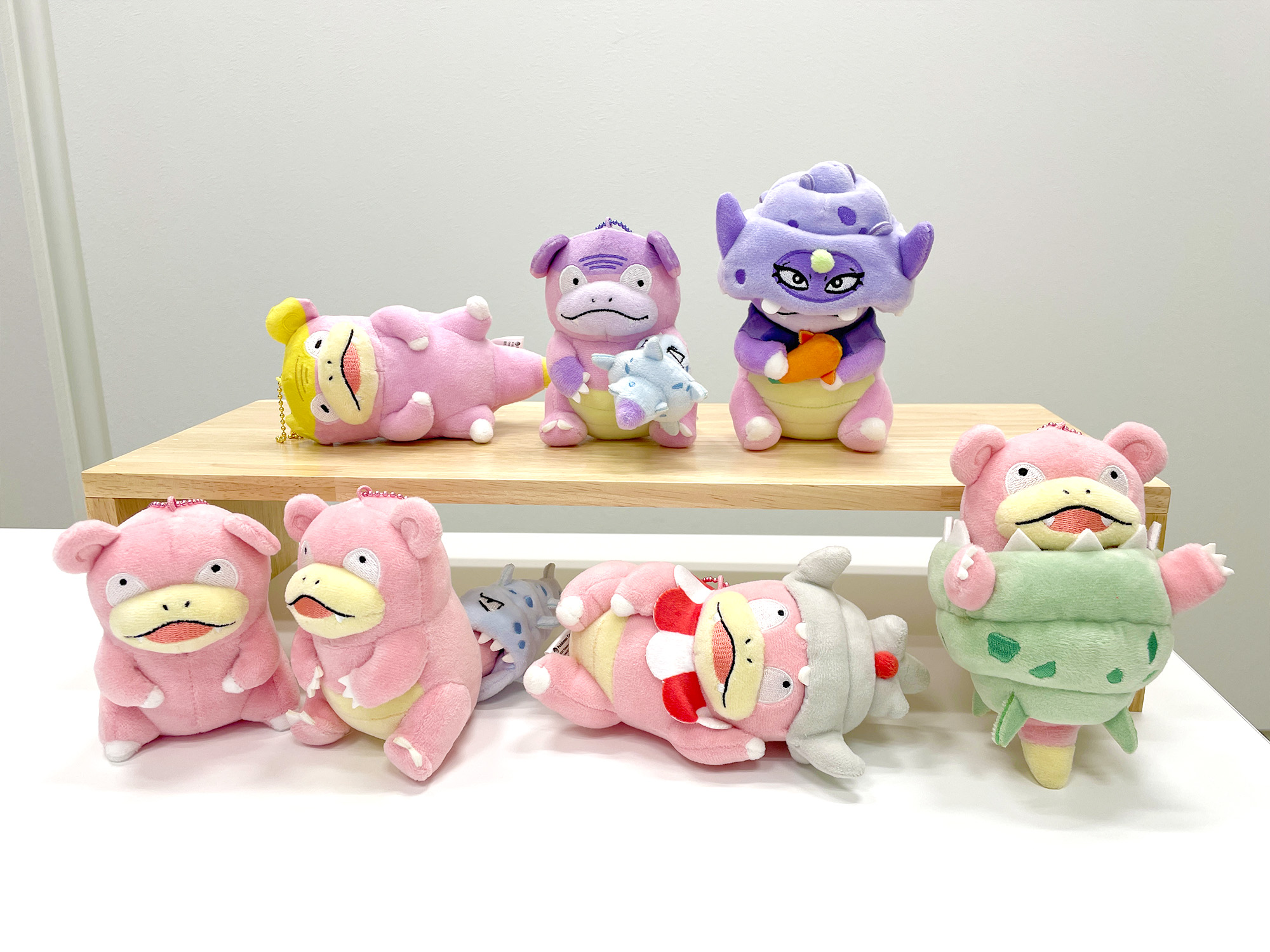 ポケモンだいすきクラブ編集部【公式】 on X: ポケモンだいすきクラブ編集部【公式】 on X: