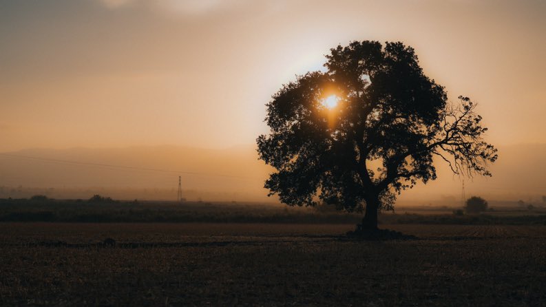 📌Sessiz bir güzellik…
📍Hatay

📸 <a href="/yldrmfatih13/">Fatih YILDIRIM</a>