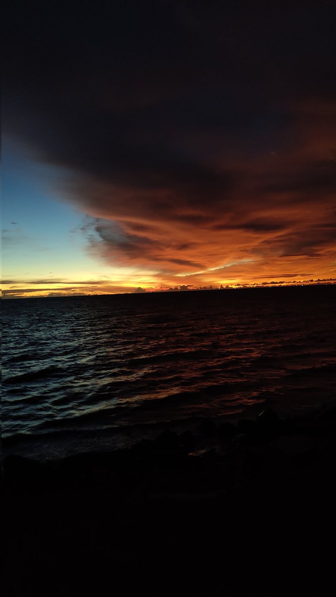 SivadathH68311's tweet image. #Cheraibeach Oct 2 evening 😇🤩❤️

Shot on #PocoX3 ❤️❤️
#Poco
@IndiaPOCO
@Himanshu_POCO @AnshuTechblog 
@SavageAryan007 @stufflistings
@saaaanjjjuuu