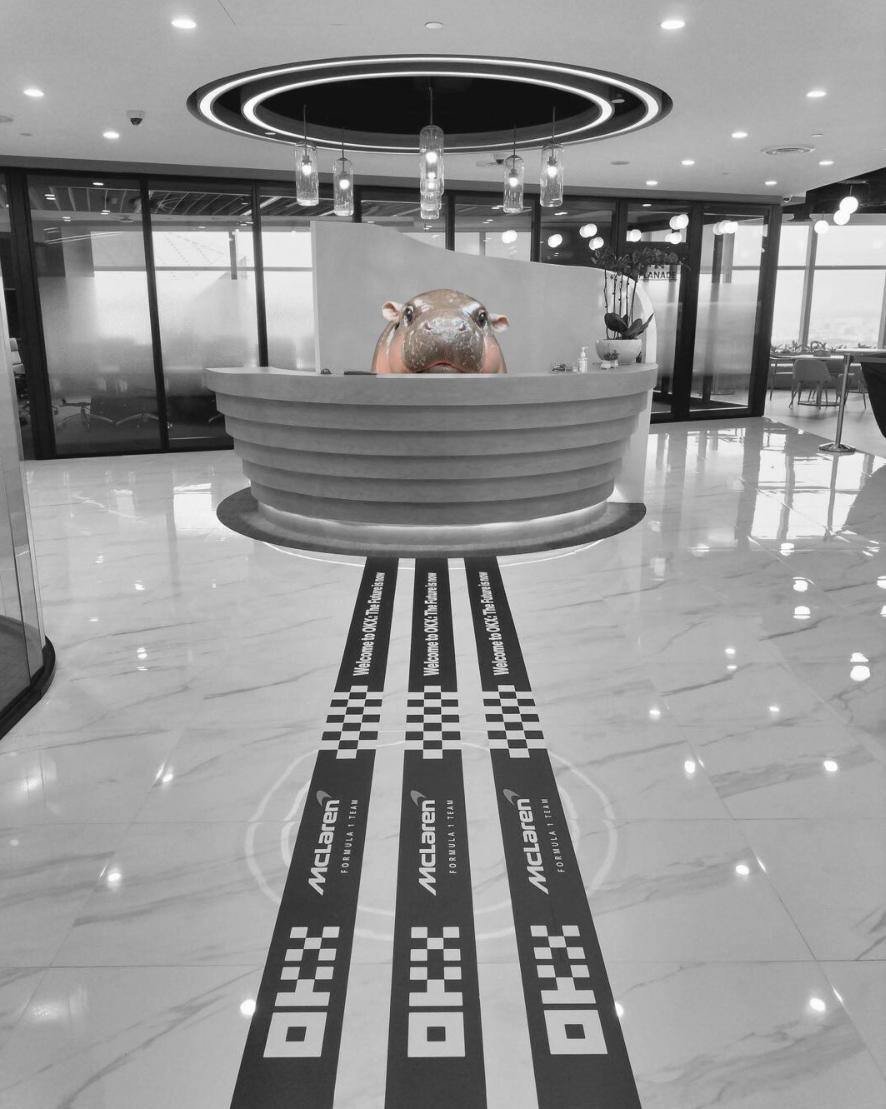 Fan Page | Moo Deng tweet media