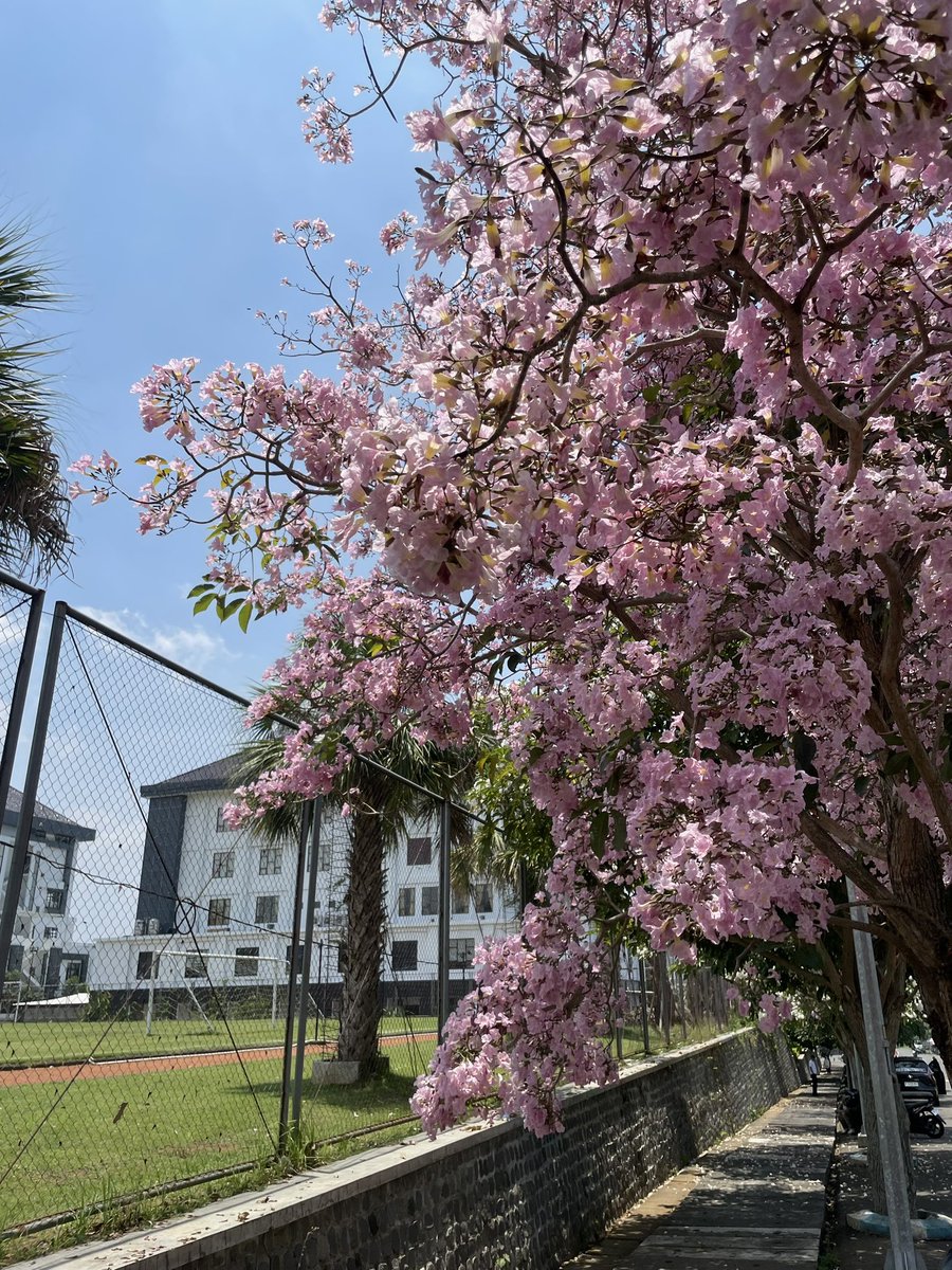 UB dieng hits different in October