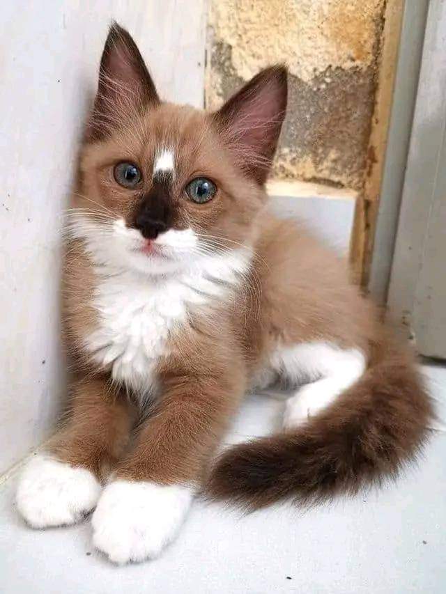 I'm pretty ? 😍