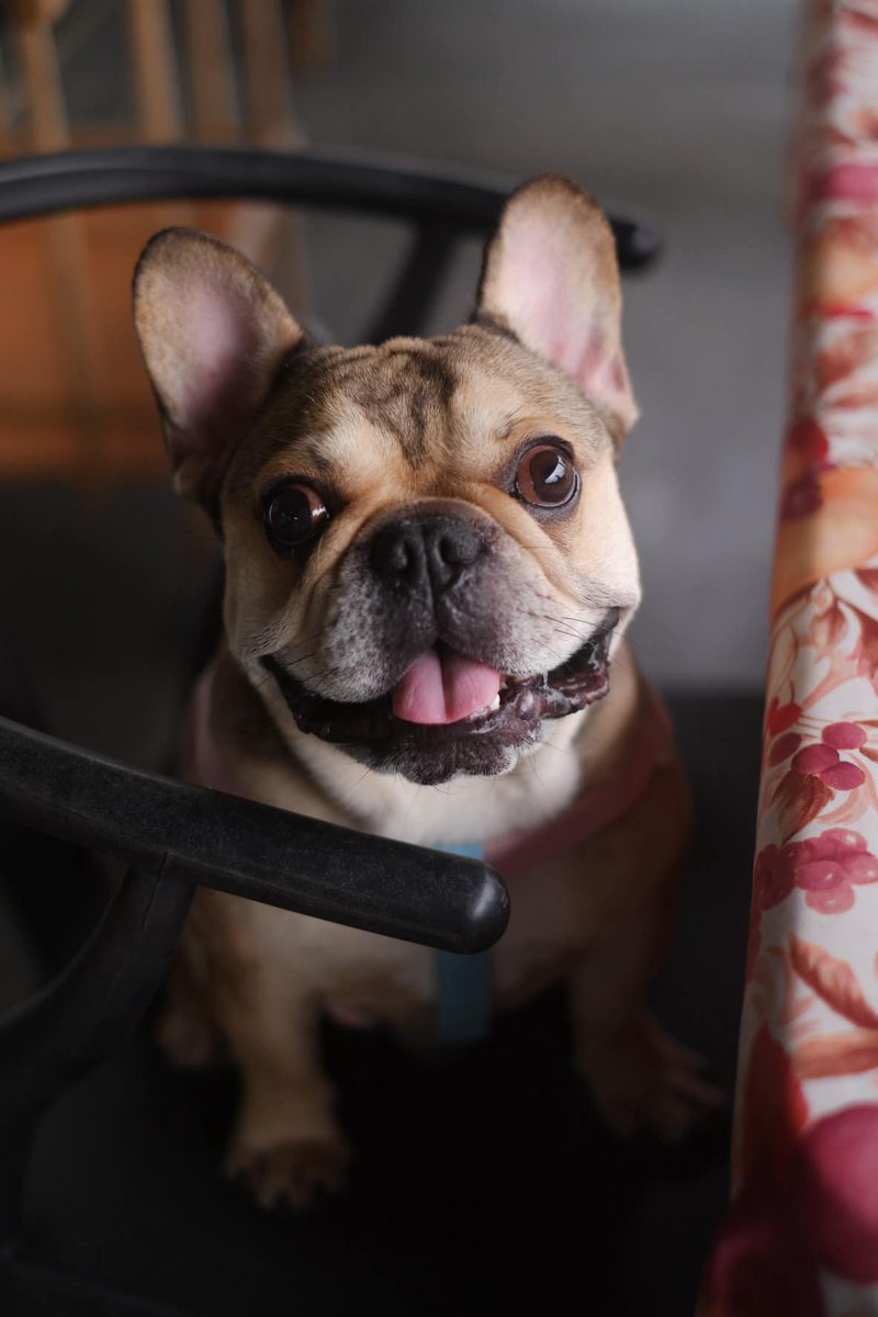 GG Sphere tweet media