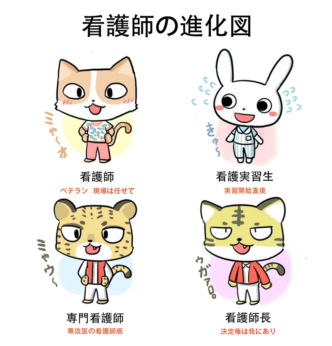 医学生の路障生活 Medical student roadblock life tweet media