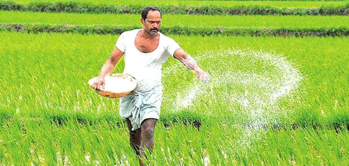 The government of former President Ranil Wickremesinghe decided to increase the fertilizer subsidy from Rs. 15,000 to Rs. 25,000 during the Maha season, which was implemented by President Anura Kumara Dissanayake's administration. However, this decision was suspended due to