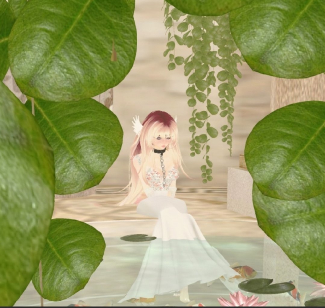 SirenityVT's tweet photo. Just Relaxing by the pond ☺️🌸🎏#koifishgoddessofgoodfortuneandlight #beyondthevail #darsis #darsisempire_ #sirenity #sirenityvt #vtuber #dragon #koi #koimermaid #mermaid #reality #reality_app_official https://t.co/44dPlal9MK