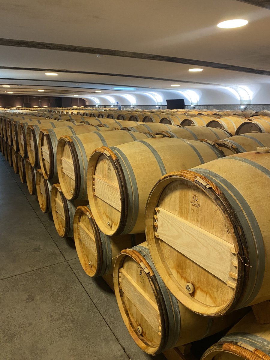 Gavin Quinney tweet media