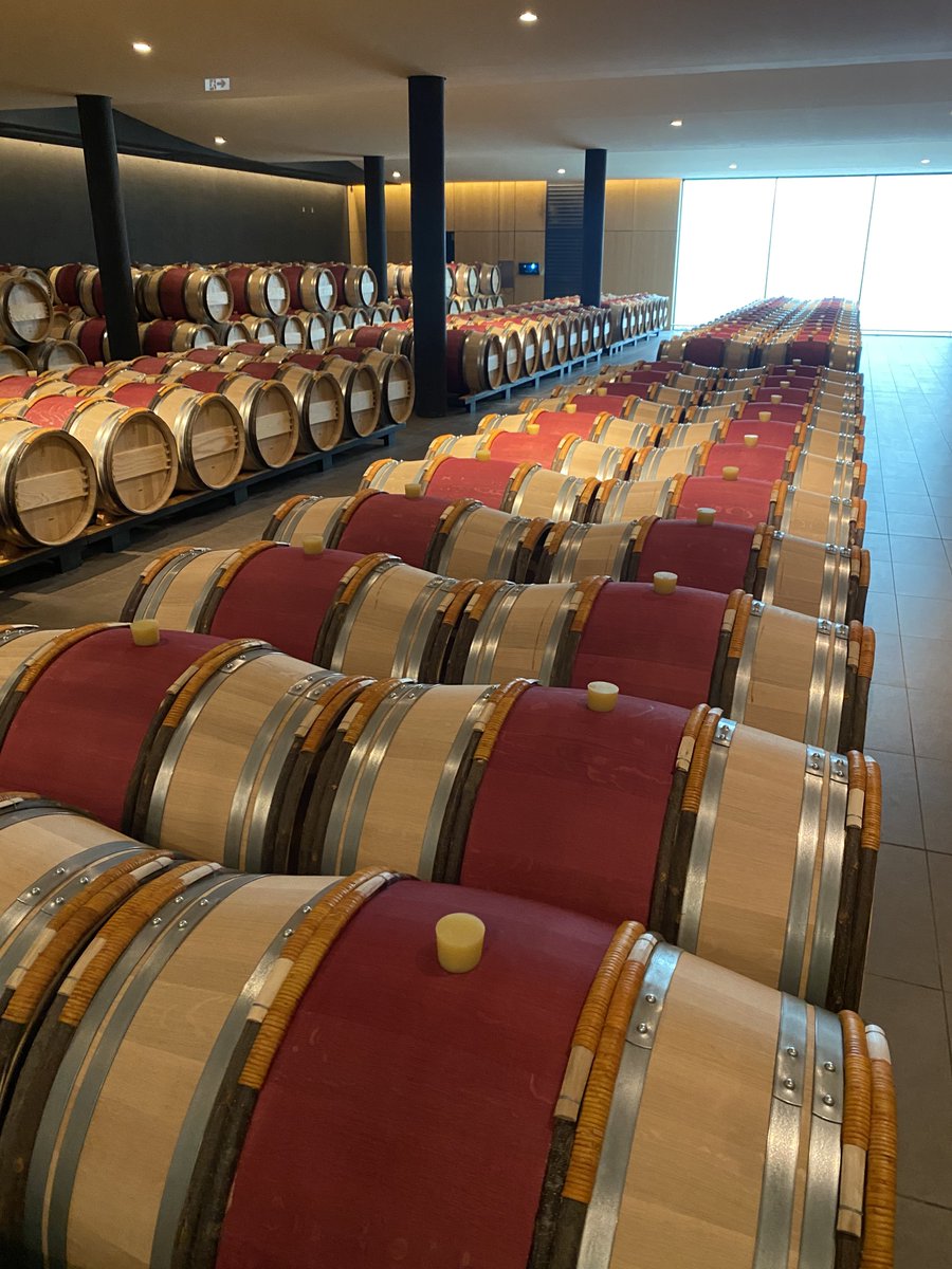 Gavin Quinney tweet media