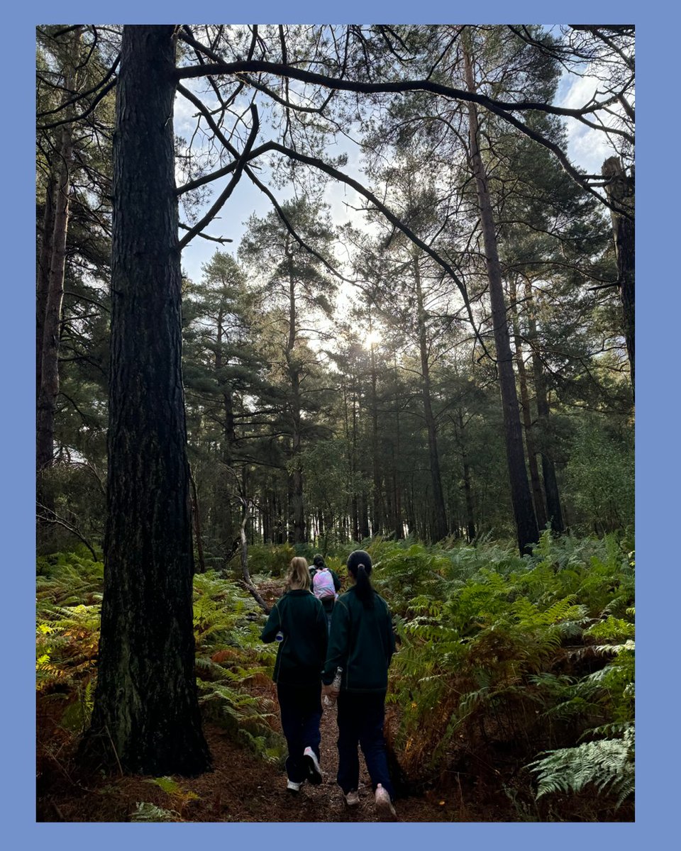 🗺️ Y6's Map Skills 🗺️Our Year 6 pupils tackled Ordnance Survey maps, navigating routes independently with minimal staff guidance. They reinforced geography knowledge &amp; developed key life skills like problem-solving, teamwork &amp; independence. No one got lost! 🎉
#EdgeboroughYear6