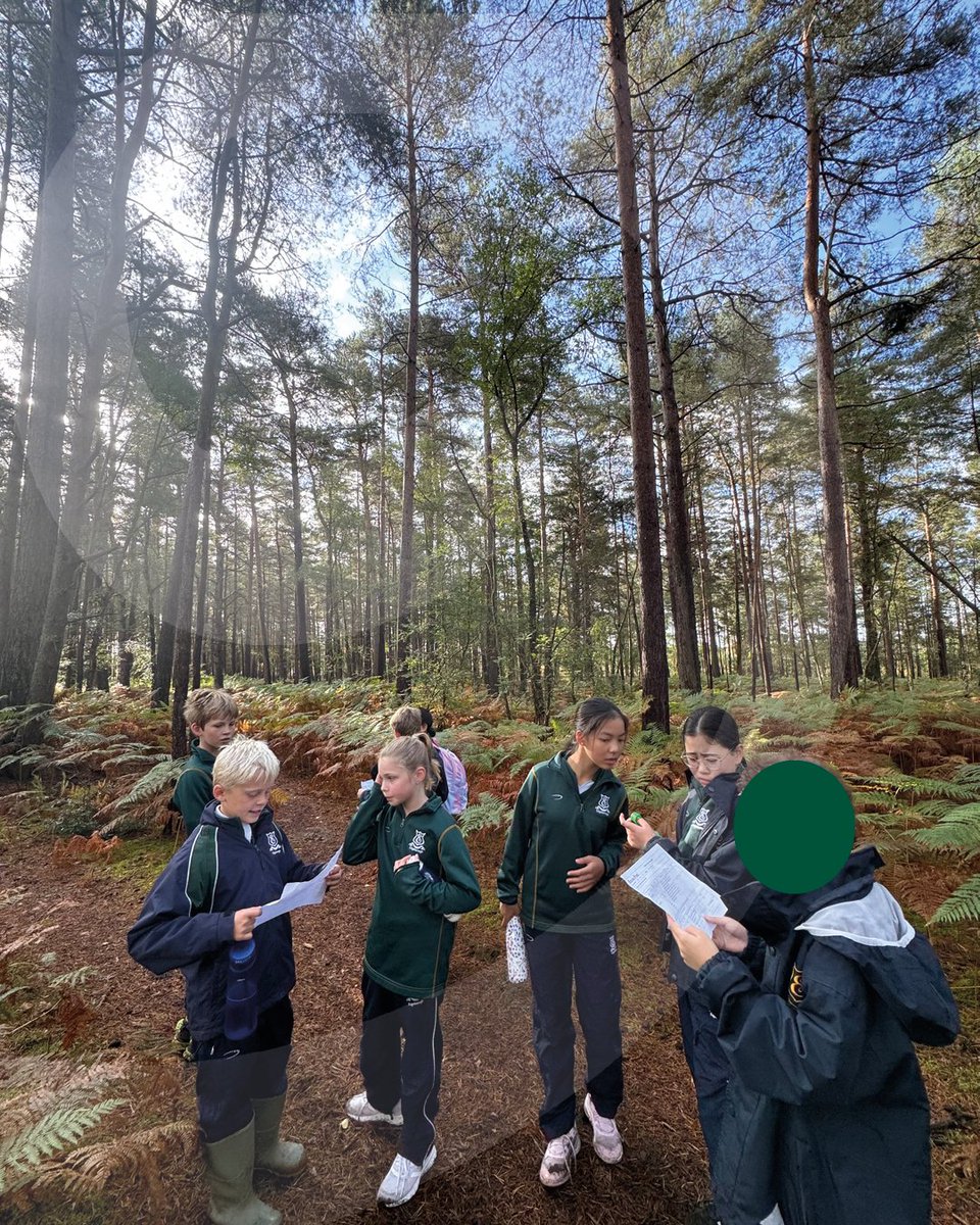 Edgeborough School tweet media