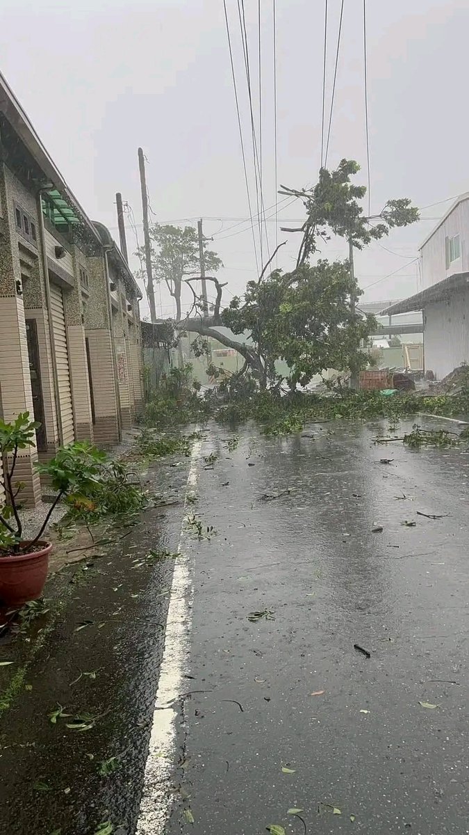 Kiranjoshi900's tweet photo. 😱😱😱
#Kaohsiung #DamageReport due to #Typhoon #JulianPH / #Krathon
The storm is still slamming #Kaohsiung City but there are now nuemorus reports of damages and trees uprooted due to the strong winds brought by the Typhoon.
#Typhoon
#TyphoonKrathon #Taiwan https://t.co/kxwikTV96g