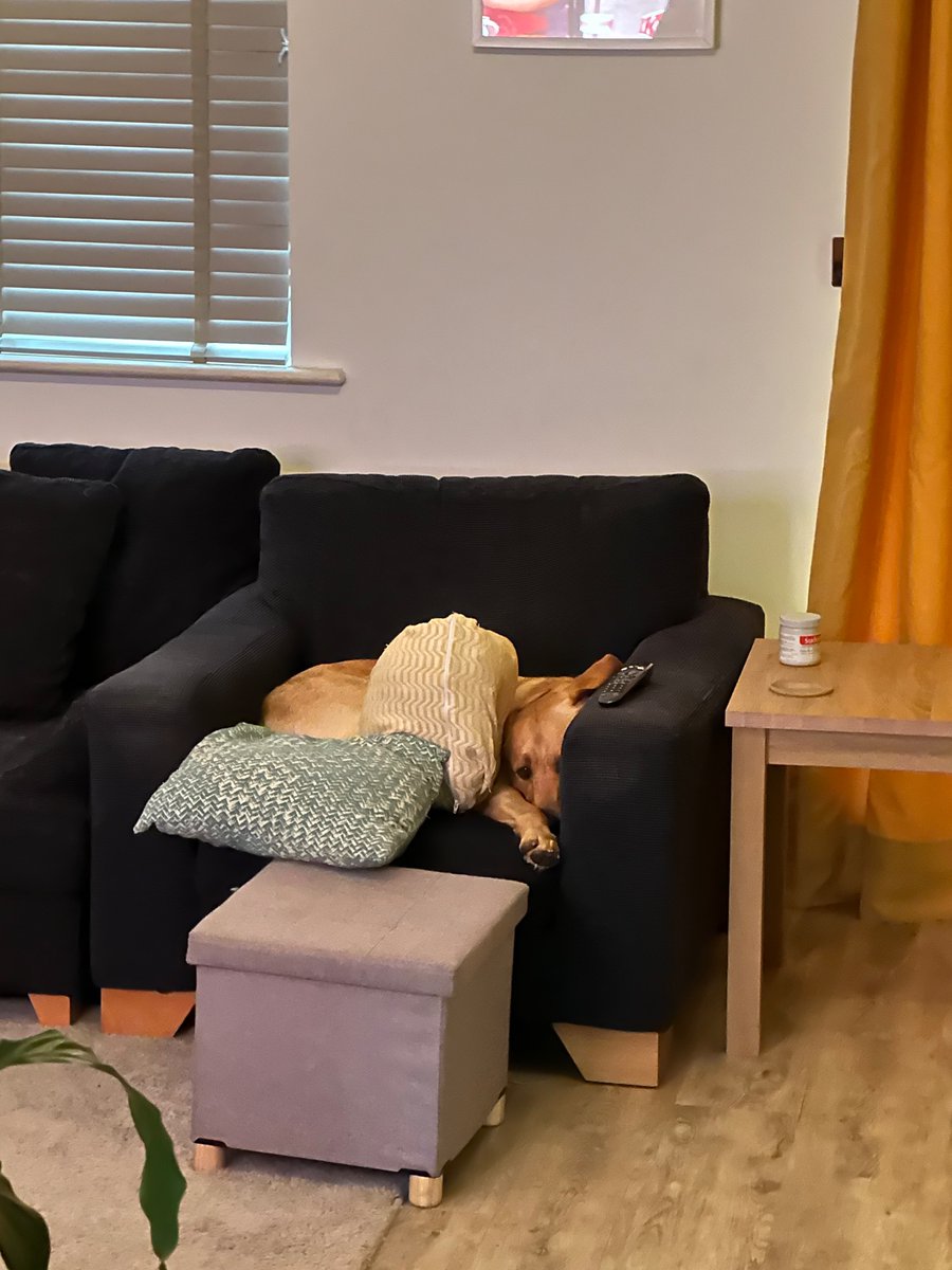 Dr Oli Steele tweet media