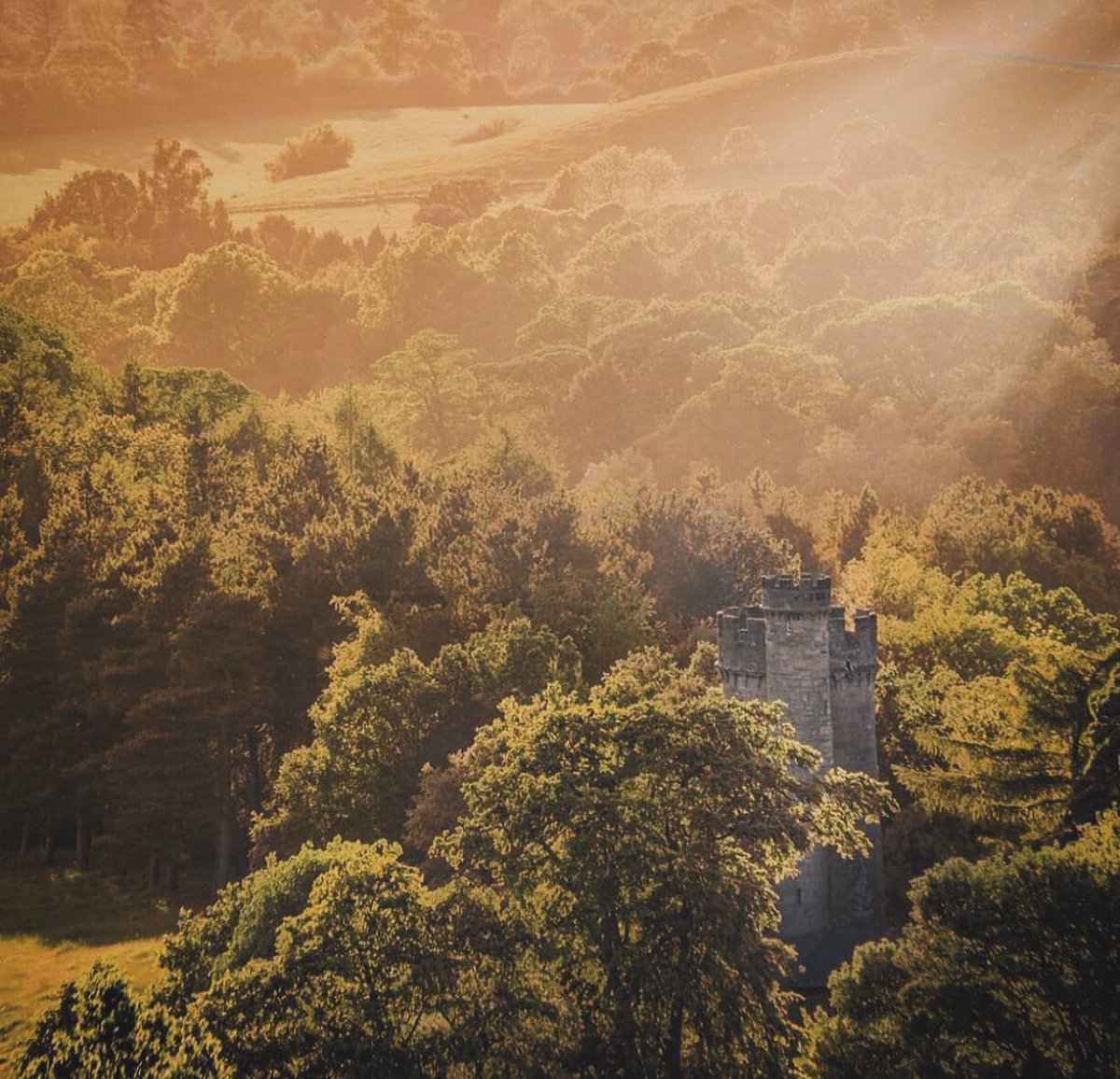 sabphotos69's tweet photo. The folly castle in the park of Hagley Hall is a Grade II* listed building and the largest building in Hagley Park. It was designed by Sanderson Miller for George Lyllelton in the middle of the 18th century to look like a small ruined medieval castle. #Clent #Thursday https://t.co/jLfIcXhGYu