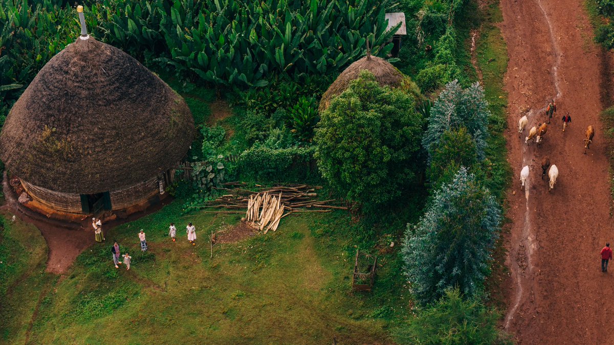 Abel Gashaw tweet media