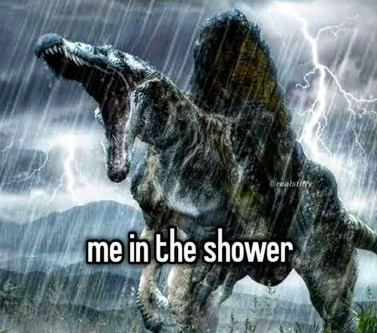 hourly_shitpost's tweet photo. ㅤ https://t.co/N4Z2J6AvX0