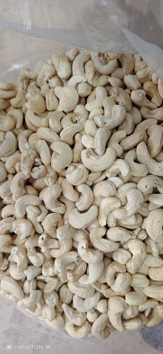 SHUBH_DRYFRUITS's tweet photo. दिवाली तक मैं चाहता हूँ मै 1⃣0⃣0⃣ आँडर और डिलीवर करू 1⃣0⃣0⃣ में से 2⃣ आँडर हो चुके हैं 
मै DryFruits के साथ साथ गिफ्ट हैम्पर भी बेच रहा हूँ आने वाले त्यौहार के लिए आप सभी इस बार अपने छोटे भाई से सामान खरीदे़ं 

Good health 
Good quality
Good packaging dryFruits  🙏

2⃣/1⃣0⃣0⃣✔️ https://t.co/C2G8KchvZr