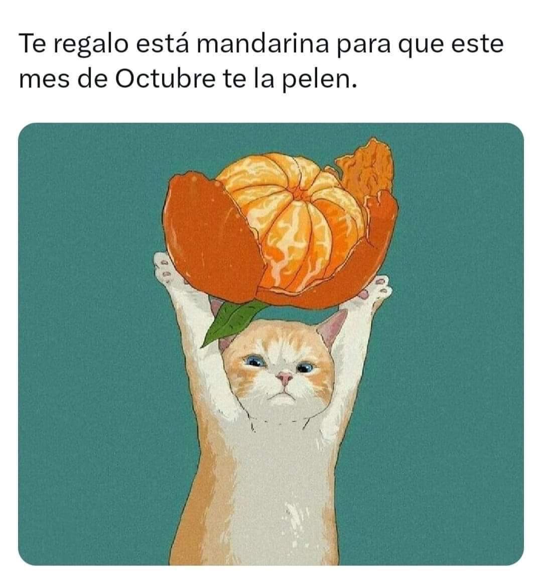 Armonía Rmz tweet media