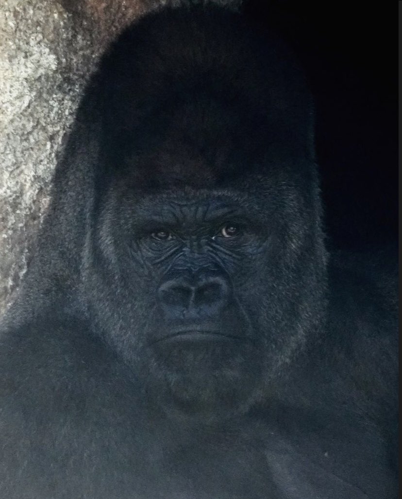 It’s time to let go