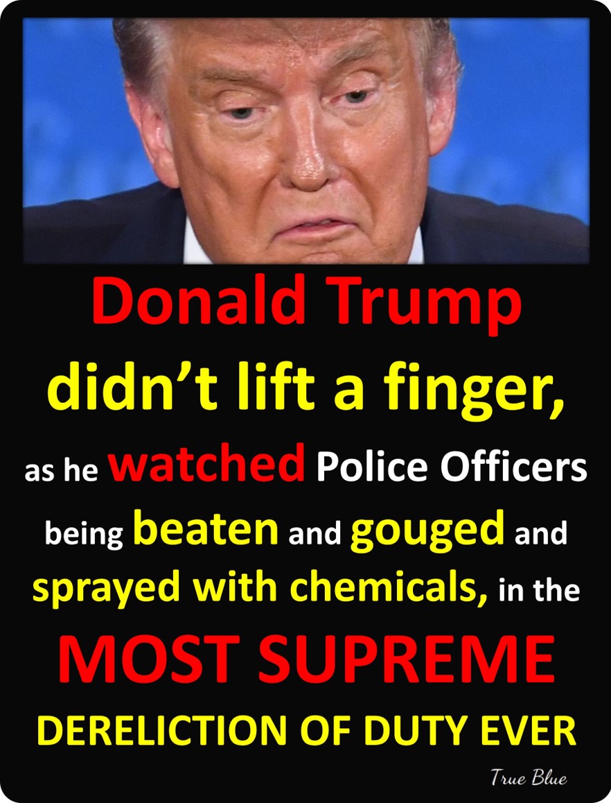 🚨 #Trump's Jan 6 Domestic Terrorists are all DOING JAIL TIME for him because they all followed <a href="/realDonaldTrump/">Donald J. Trump</a>'s ORDERS! 

Let's hope #Trump gets sent to the SAME PRISON as them, so they can PERSONALLY thank him!

#TrumpIncitesViolence
#TrumpIsUnfitForOffice