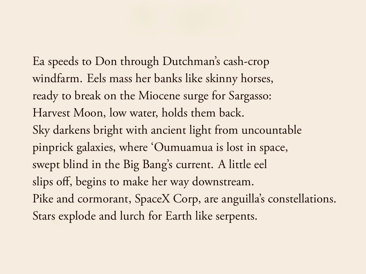 From 'Eely' by Steve Ely
#nationalpoetryday