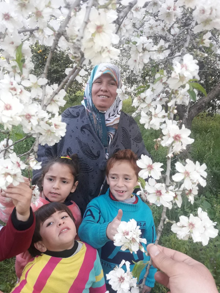 "The year of genocide, marked by immense loss and suffering, still lingers. I never imagined the last cake I would taste from my mother’s hand would be the final one. Today stands as the most devastating birthday of my life."