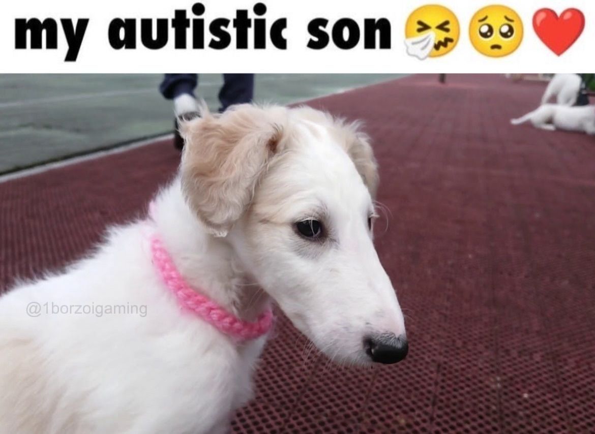 hourly_shitpost's tweet image. ㅤ