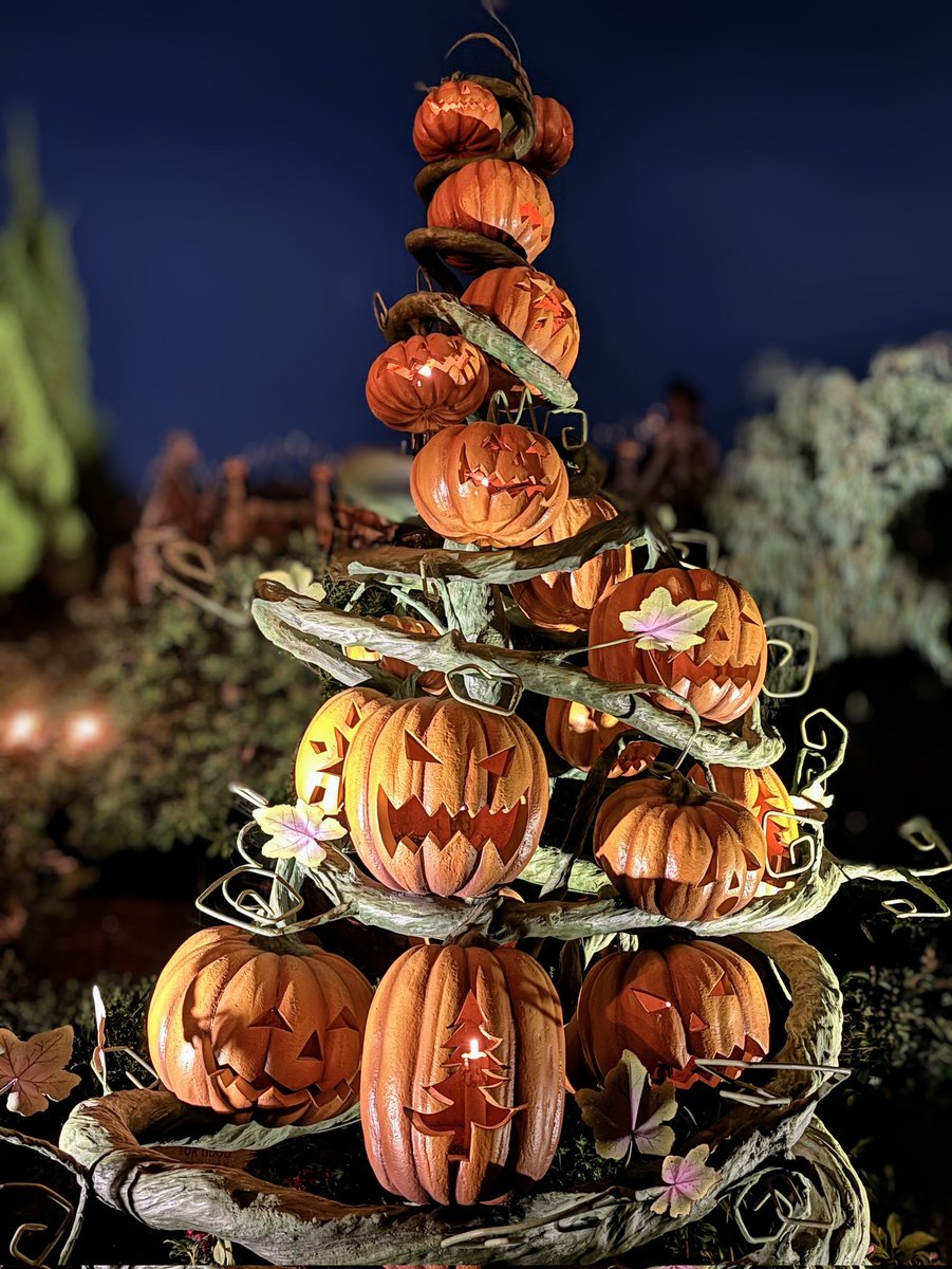 今日も１日
　　お疲れさまでした☕

ディズニー・ハロウィーン
🎃🎃🎃
妻がスマホで撮影📱