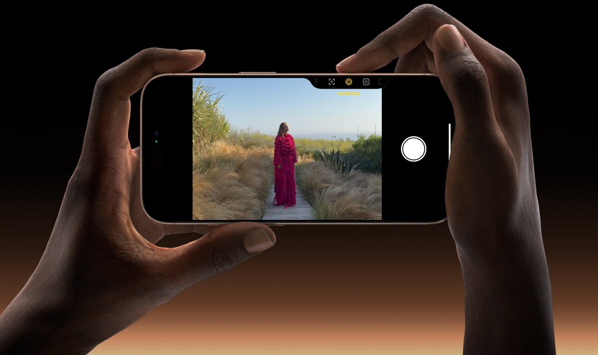 Sam Kohl tweet media