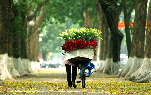 AWESOME_VN's tweet photo. Beauty of Humble Flower Sellers on Street.
Hanoi, Vietnam🇻🇳

📸 Hoang Diep https://t.co/0wZW7fMc5q