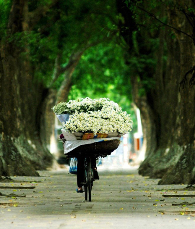 AWESOME_VN's tweet photo. Beauty of Humble Flower Sellers on Street.
Hanoi, Vietnam🇻🇳

📸 Hoang Diep https://t.co/0wZW7fMc5q