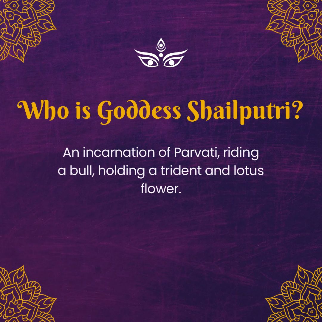 National Medicos Organization tweet media