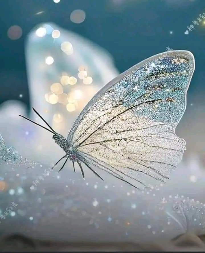 گفتگو کر تو میرے ساتھ کہ تصدیق تو ہو
لوگ کہتے ہیں کہ خوشبو کی زباں ہوتی
 ہے😇🩵🦋🥀

   🩵🩵🩵🩵🩵🩵🩵🩵🩵🩵🩵
        GOOD EVENING FRIENDS 
  🩵🩵🩵🩵🩵🩵🩵🩵🩵🩵🩵🩵