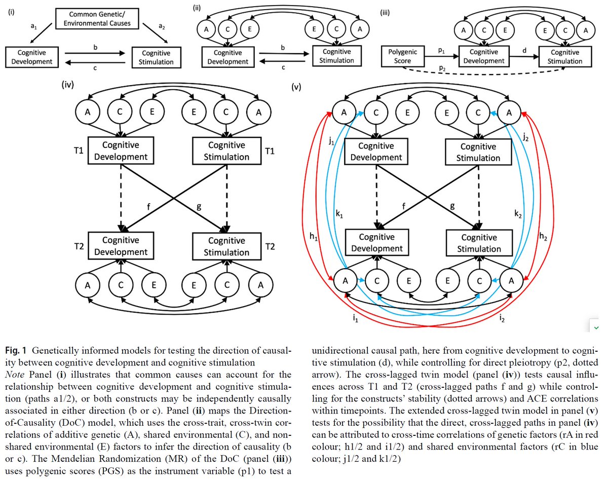 Behavior Genetics Association (@behaviorgenetic) on Twitter photo Do children cause the cognitive stimulation they receive? 🧬đź§
<a href="/_StarrAlexandra/">Alexandra Starr</a>, <a href="/OlakunleOginni/">Olakunle Oginni</a>, and <a href="/HungryMindLab/">Hungry Mind Lab</a> model the directions of causality in 15,314 children from the Twins Early Development Study (<a href="/TedsProject/">TEDS</a>): link.springer.com/article/10.100… Do children cause the cognitive stimulation they receive? 🧬đź§
<a href="/_StarrAlexandra/">Alexandra Starr</a>, <a href="/OlakunleOginni/">Olakunle Oginni</a>, and <a href="/HungryMindLab/">Hungry Mind Lab</a> model the directions of causality in 15,314 children from the Twins Early Development Study (<a href="/TedsProject/">TEDS</a>): link.springer.com/article/10.100…