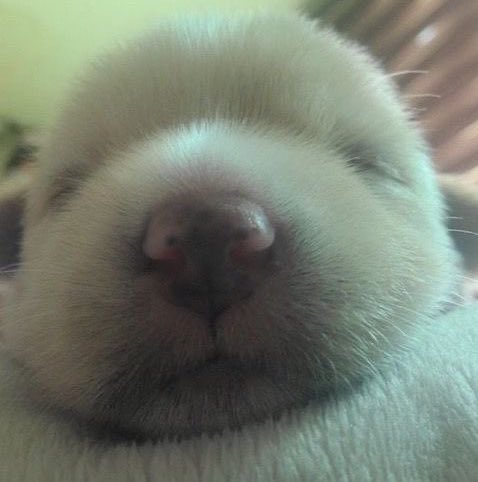 pov : เผลอเปิดกล้องหน้าแล้วมือลั่นกดชัตเตอร์

                     รูปที่ถ่าย                                      รูปที่ได้