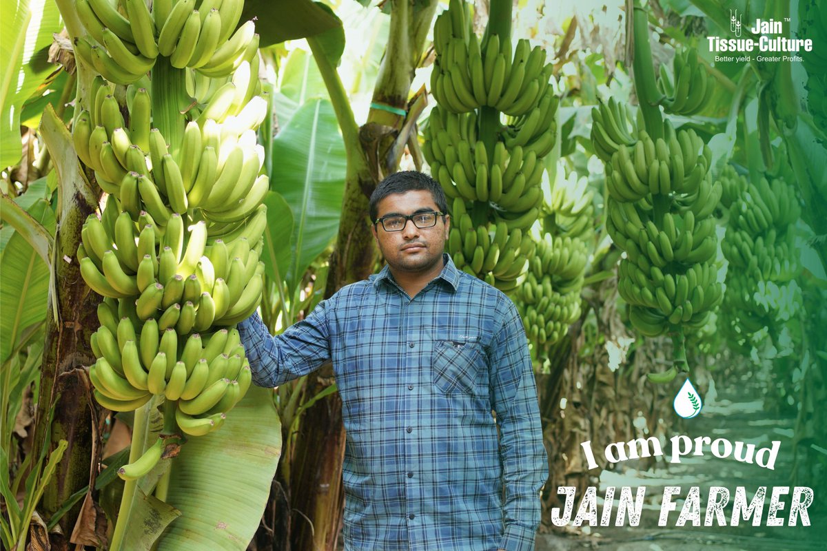 JainTissueCrops's tweet image. 🌿 Jain Farmers: Heroes of the Land 🌿
With sustainable farming, drip irrigation, and tissue culture, our Jain farmers are shaping a greener future. Their hard work and dedication inspire us every day! 🌱💚
#JainFarmers #SustainableFarming #DripIrrigation #TissueCulture