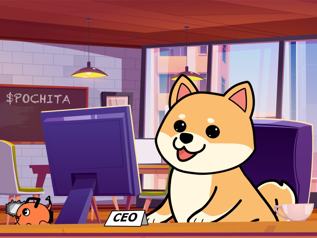 Pochita, CEO of meme coins.