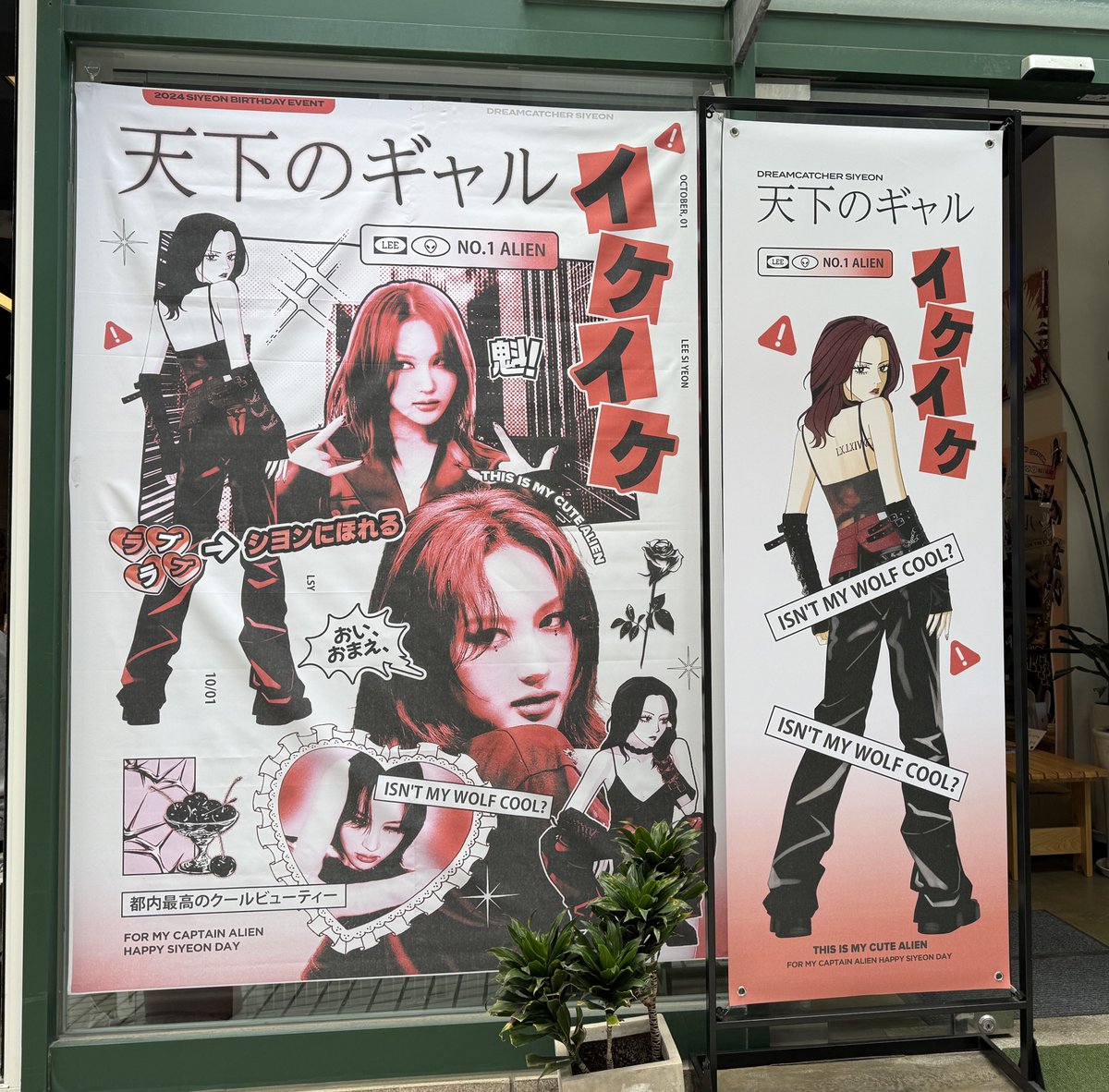 DC_Mydream's tweet photo. 시연이 생카 다녀왔어요~~ 진짜 .. 아름다움
레전드 너무 예쁘다 특전도 혜자 미침!!
너무 예쁘고 
눈호강 제대로 하고 갑니다 🎂🐺💙

#대원들은천하의왹왹대장만사랑해👾 https://t.co/1o4opdEfjN
