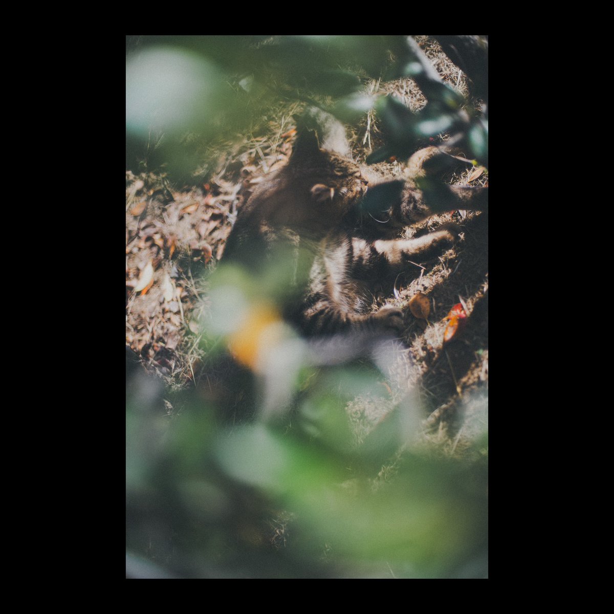 Mori (@cooom_1525) on Twitter photo 